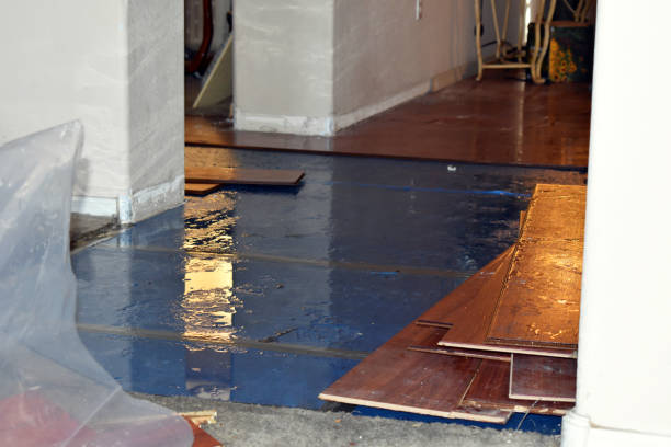 Professional Basement Flood Cleanup technician working in Mineola, TX